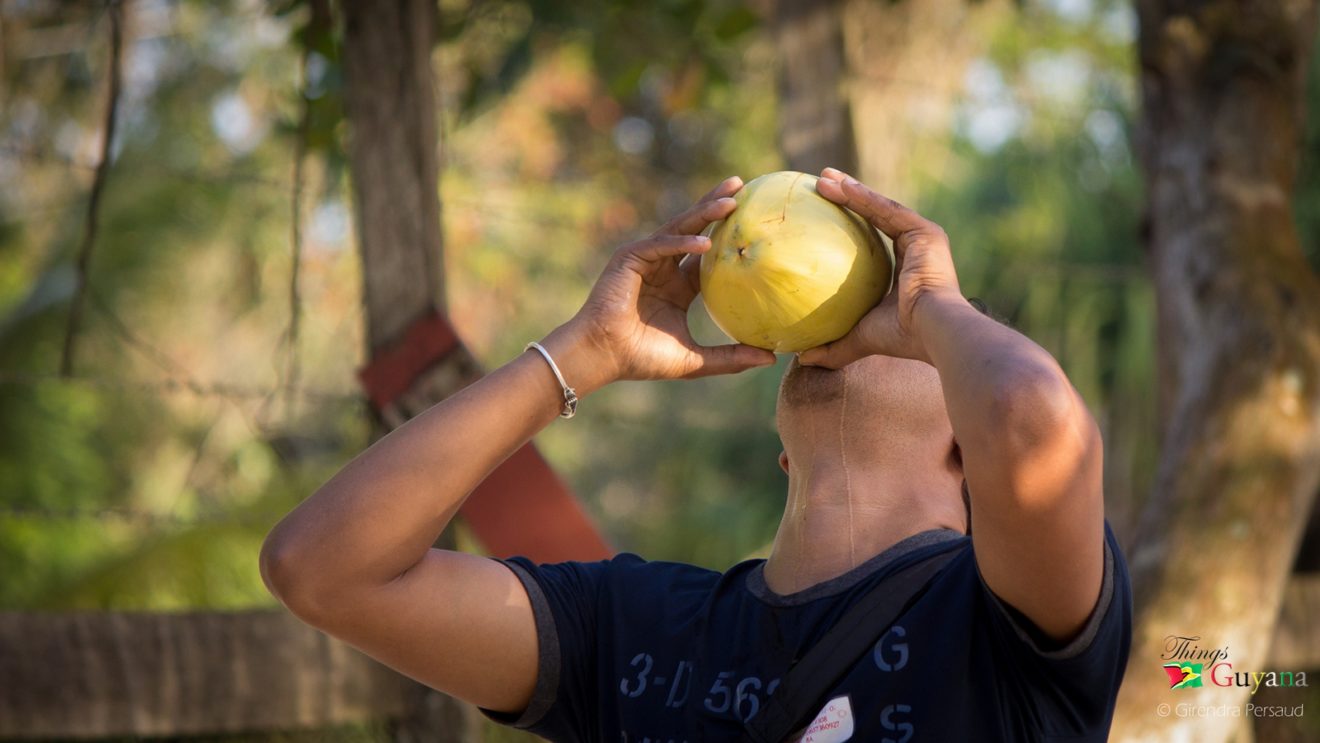 Drinking coconut water on a hot day is a Guyanese thing