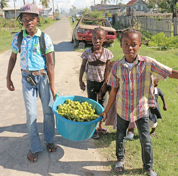 Dark markets guyana