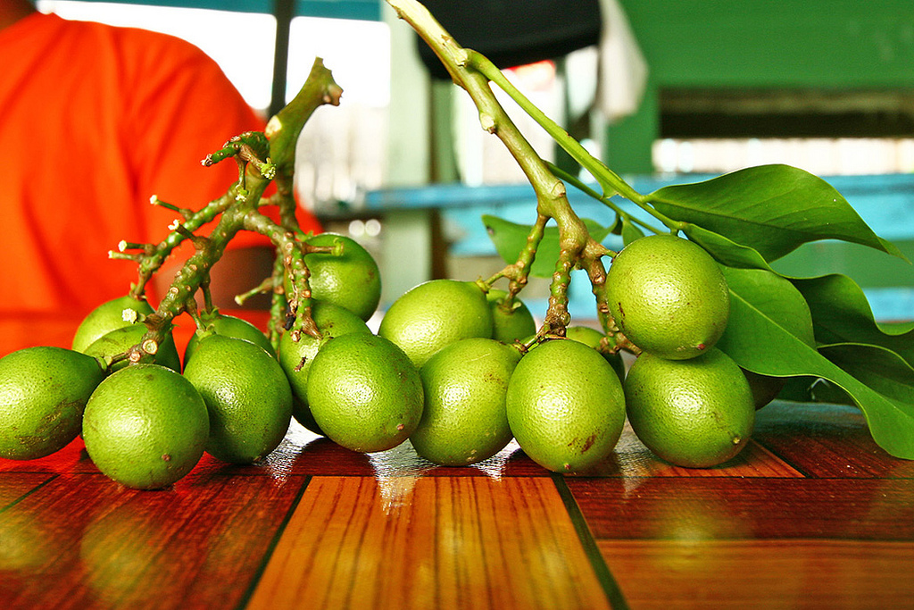 Genip is spelt and pronounced differently in many countries and languages.