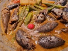 Hassa Curry in Guyana