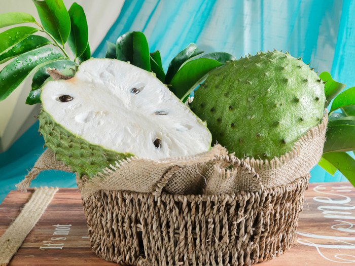 The Many Benefits & Uses of Soursop – Things Guyana