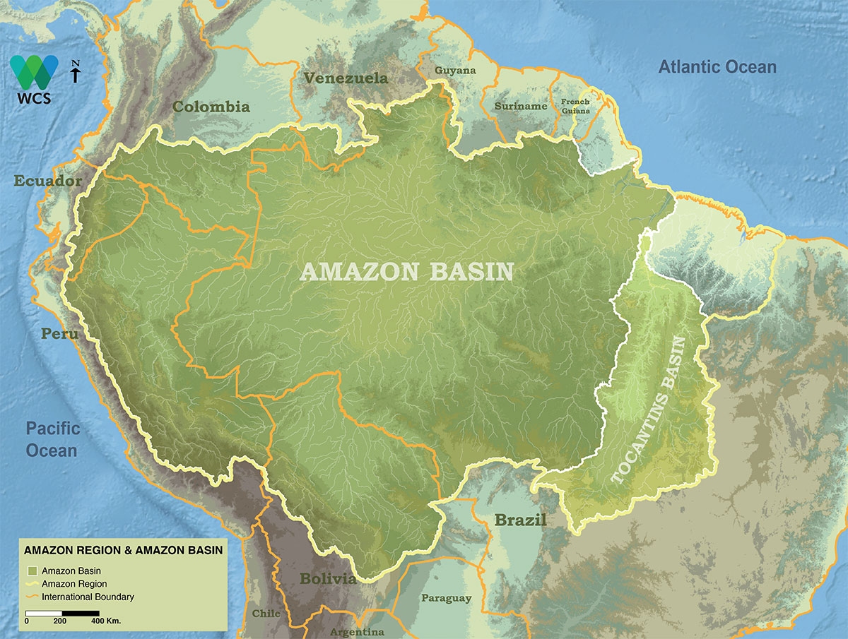 Amazon Rainforest On Map