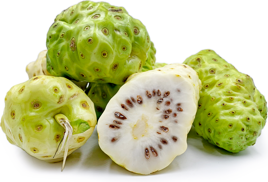 noni fruit research article pdf