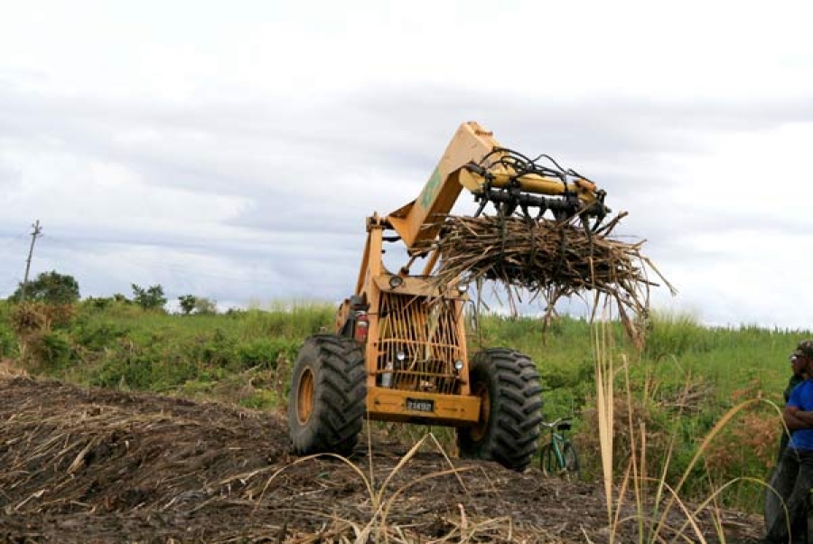 Cane Loader | GuySuco Image