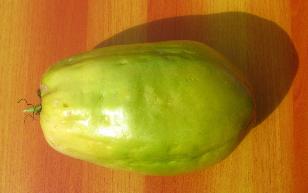 Giant Passion Fruit