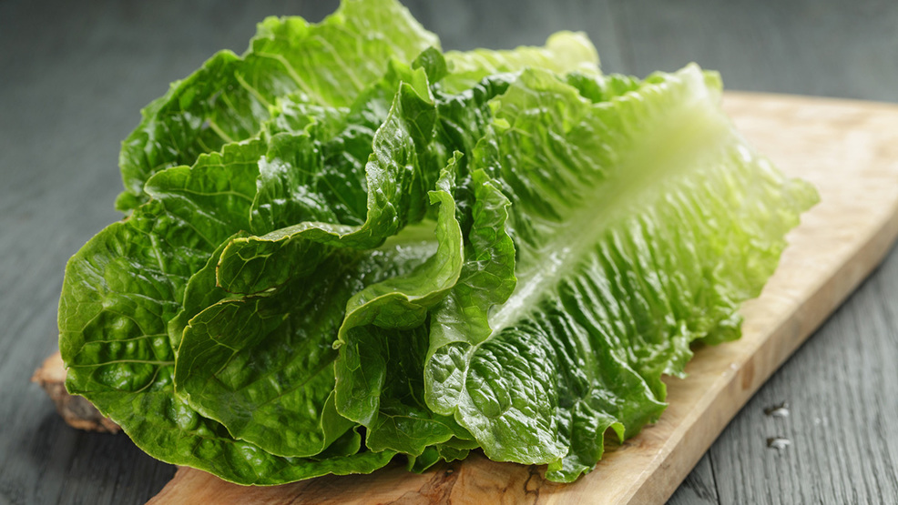 Romaine Lettuce