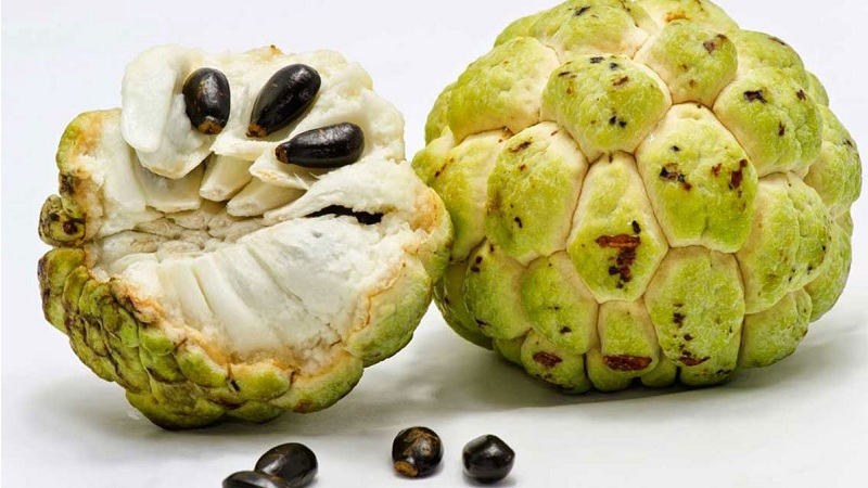 Sugar Apple