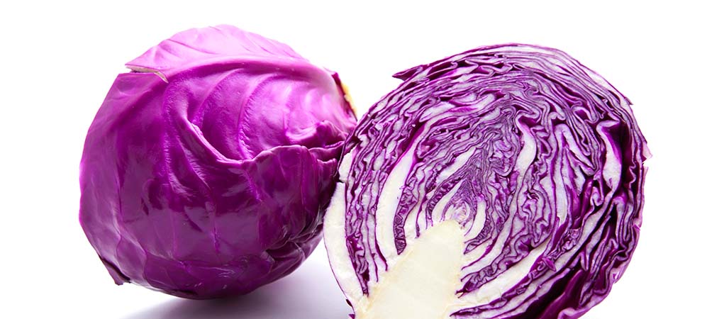 Purple Cabbage