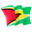 thingsguyana.com-logo