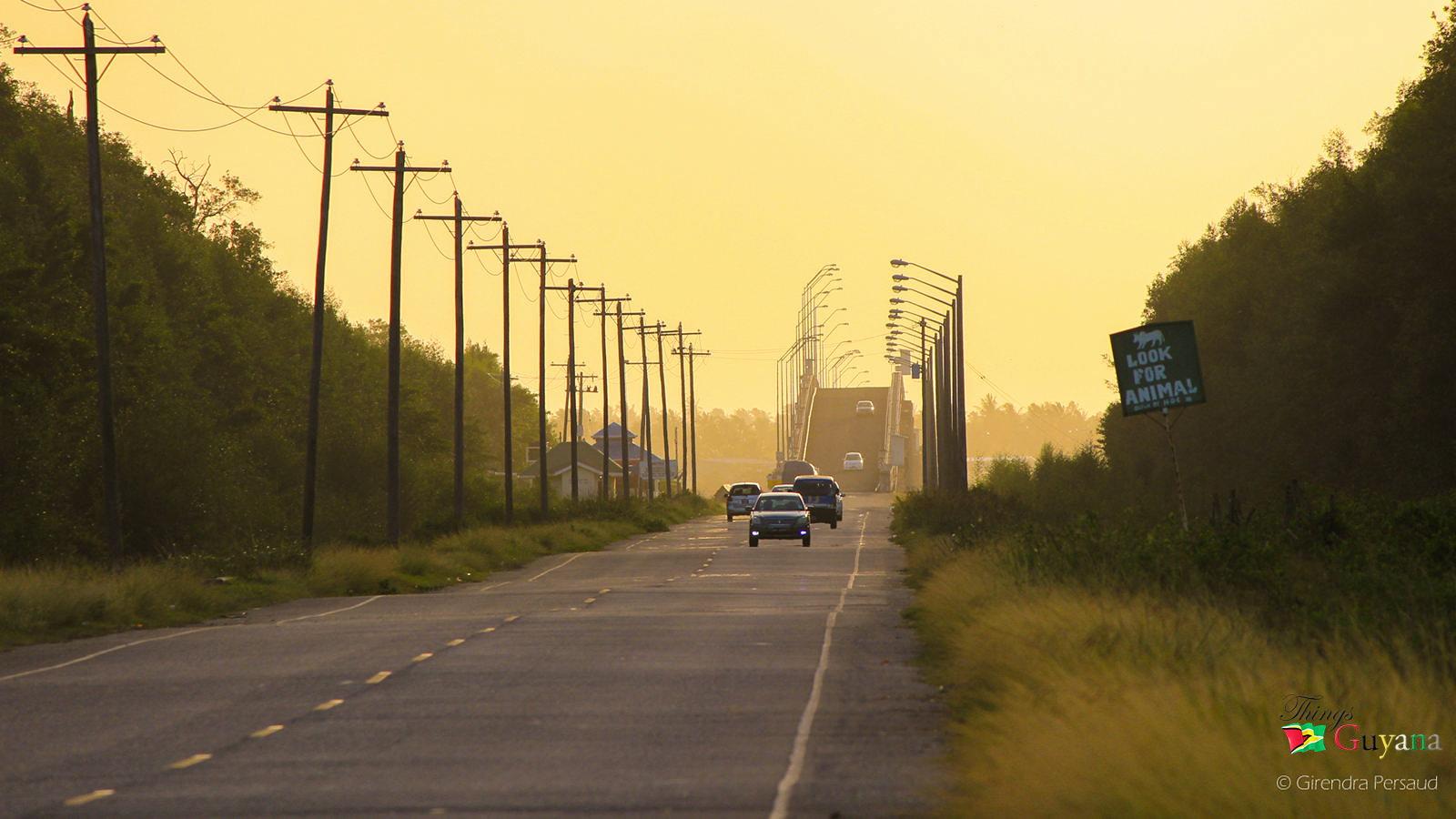 The East Bank of the Berbice River - The Berbice Bridge