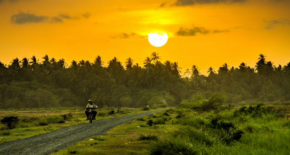 West Berbice Sunset