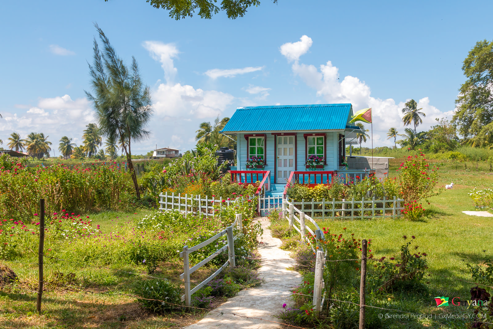 The Little House in the Village Now Or Never