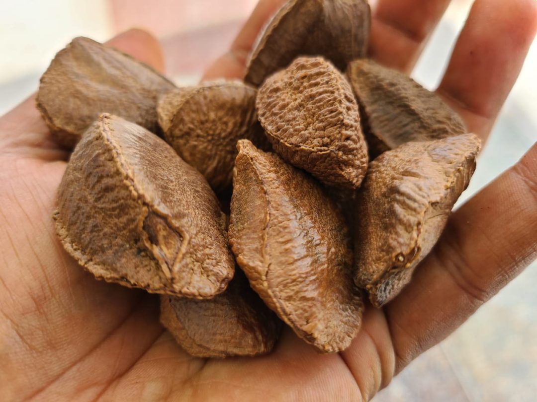 Brazilian Nuts Things Guyana