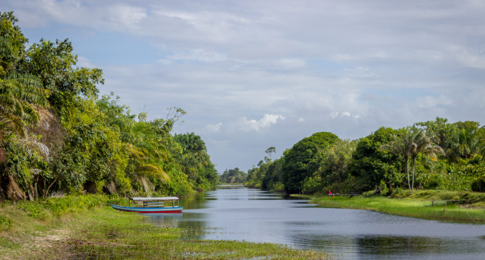 Inland river on the Essequibo Coast