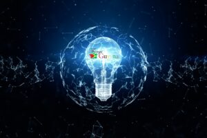 The Digital Economy