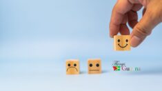 Customer-Centric Approach for Public Institutions