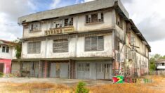 Nostalgia and Cultural Pride Among the Guyanese Diaspora