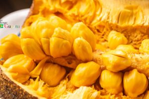 JackFruit
