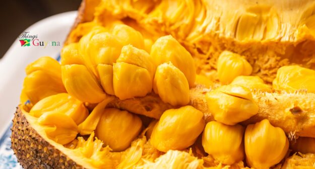JackFruit