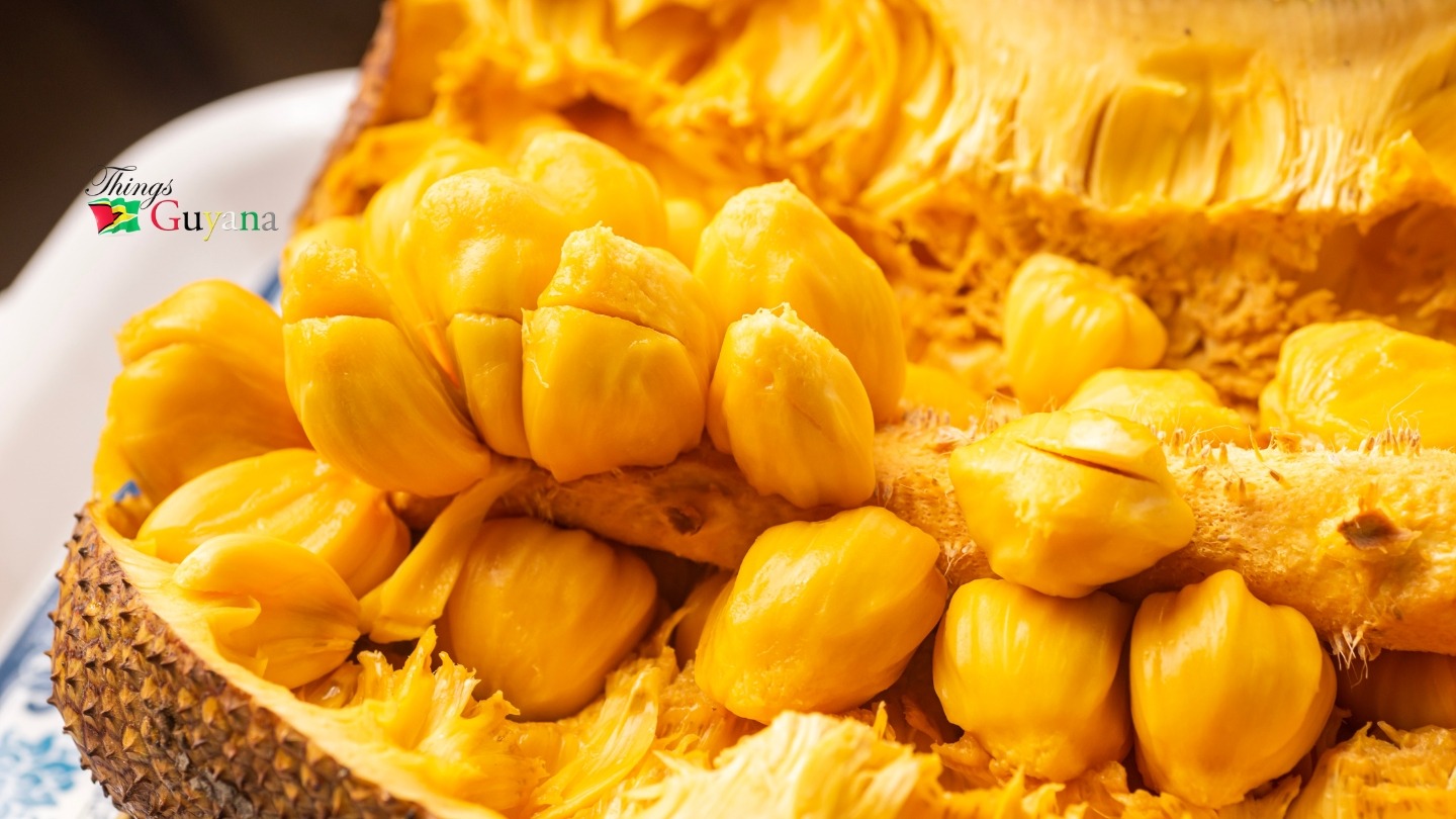 JackFruit